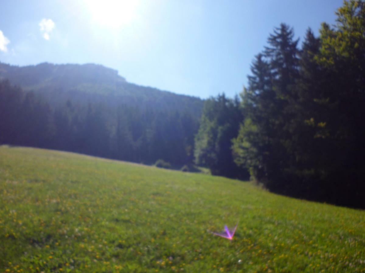 Le Chalet De La Conversaria Bed and Breakfast Villard-de-Lans Εξωτερικό φωτογραφία
